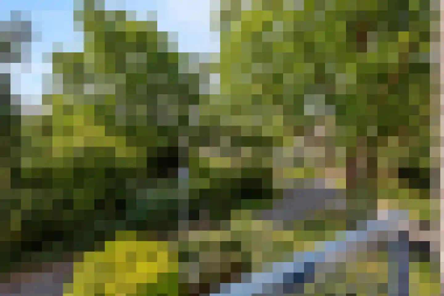 Bernard IJzerdraatplantsoen 20 Leidschendam thumbnail 30