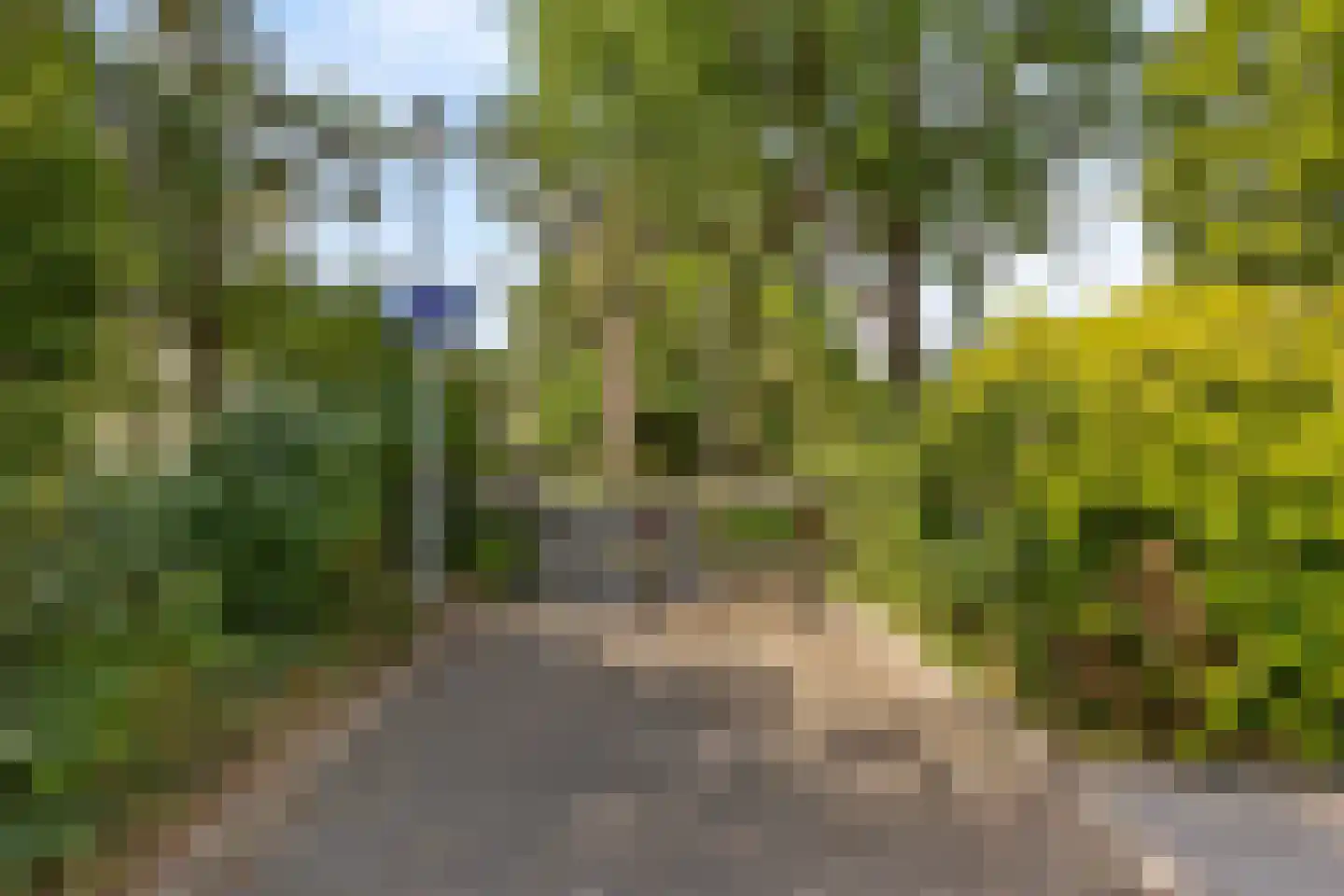 Bernard IJzerdraatplantsoen 20 Leidschendam thumbnail 51