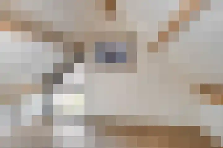 Bernard Knufingstraat 3 Lichtenvoorde thumbnail 37