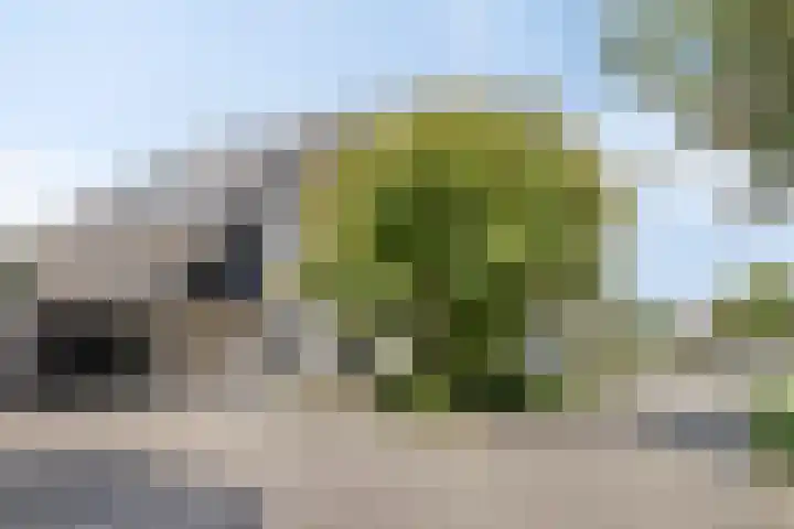 Bernard Knufingstraat 3 Lichtenvoorde thumbnail 5