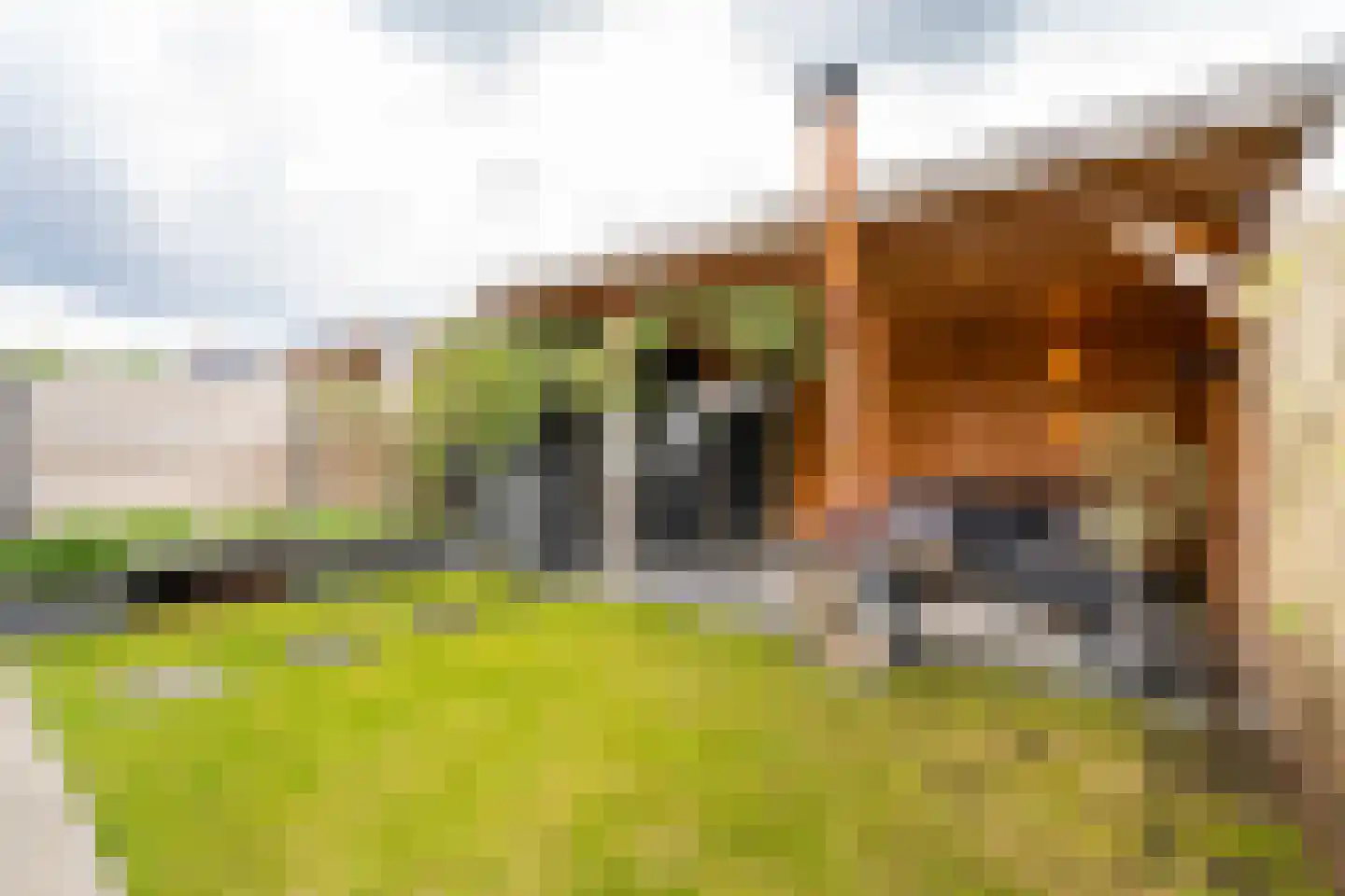 Bernard Leenestraat 112 Tilburg thumbnail 30