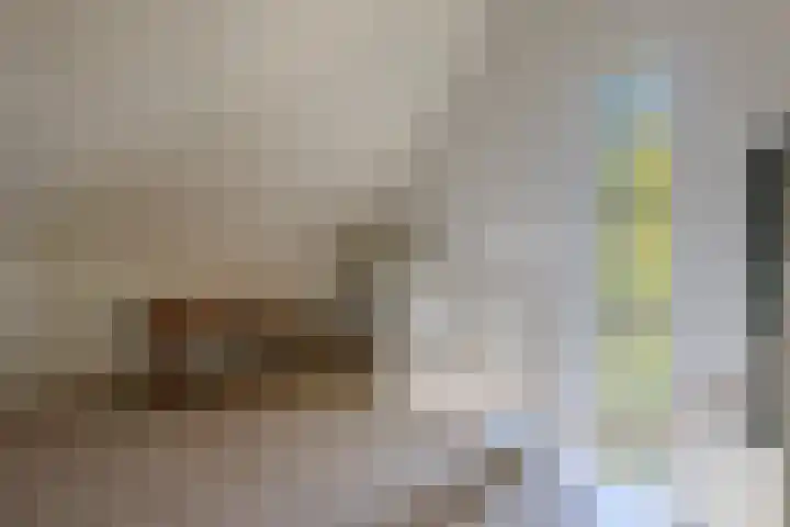 Bernard Leenestraat 15 Tilburg thumbnail 25