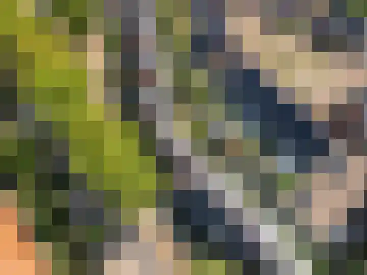 Bernard Leenestraat 15 Tilburg thumbnail 33
