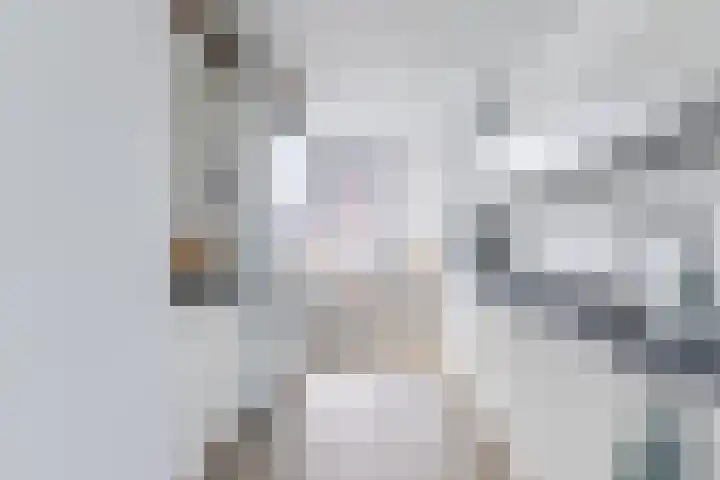 Bernard Leenestraat 80 Tilburg thumbnail 8