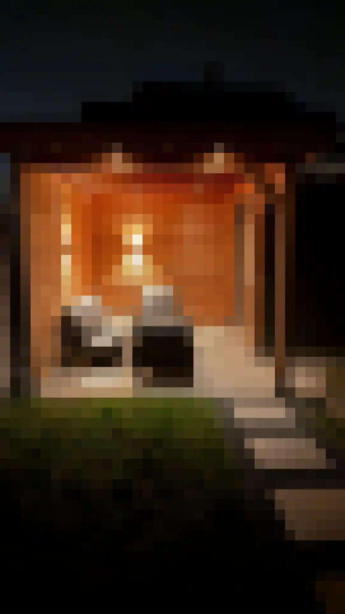 Bernard Leenestraat 96 Tilburg thumbnail 24