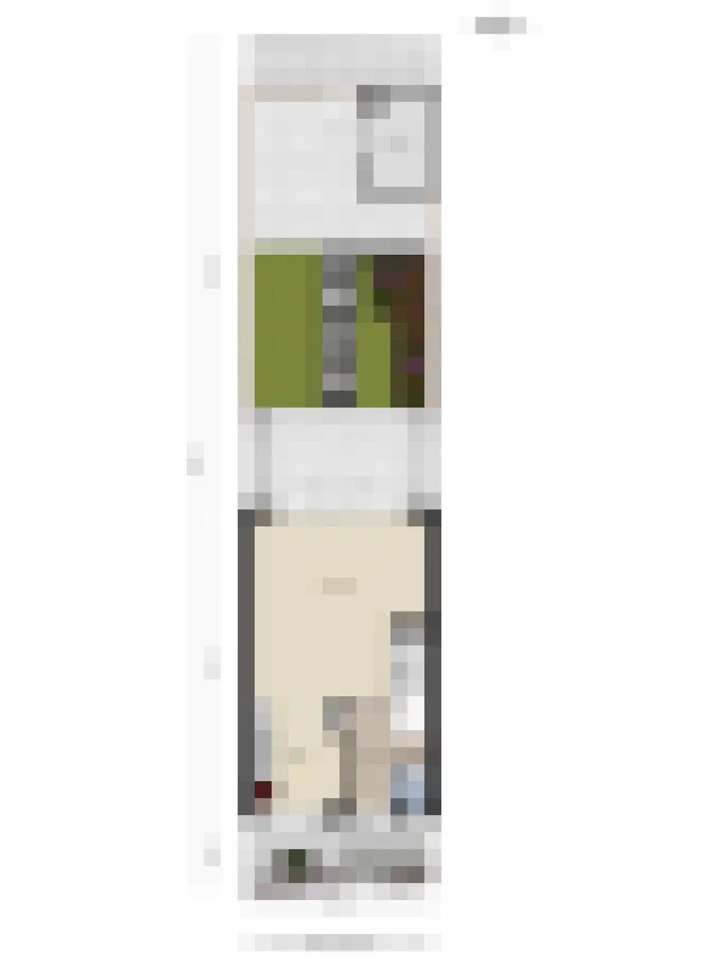 Bernard Leenestraat 96 Tilburg thumbnail 34