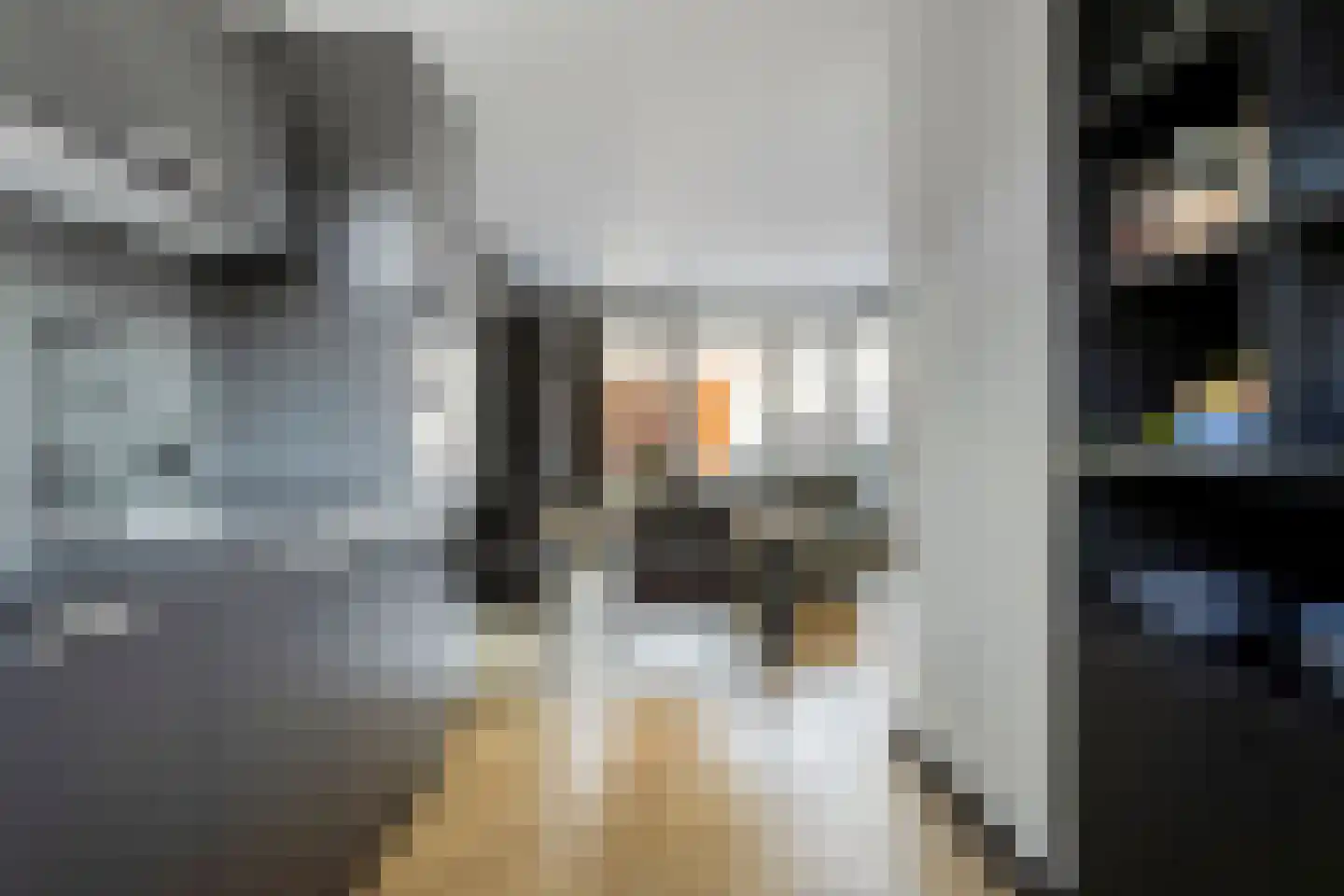 Bernard Leenestraat 96 Tilburg thumbnail 8