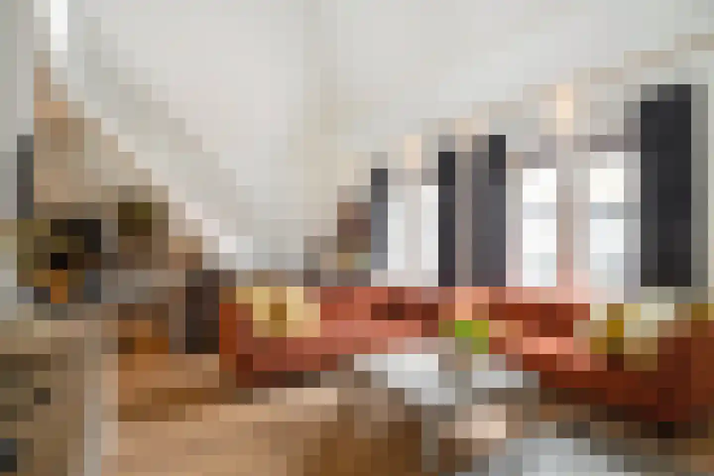 Bernard Leurinkstraat 12 Losser thumbnail 18