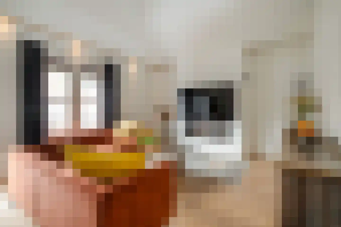 Bernard Leurinkstraat 12 Losser thumbnail 19