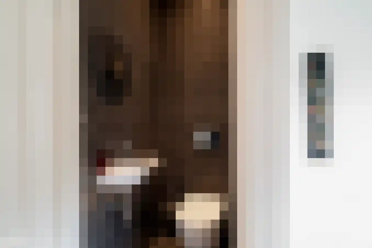 Bernard Leurinkstraat 12 Losser thumbnail 20