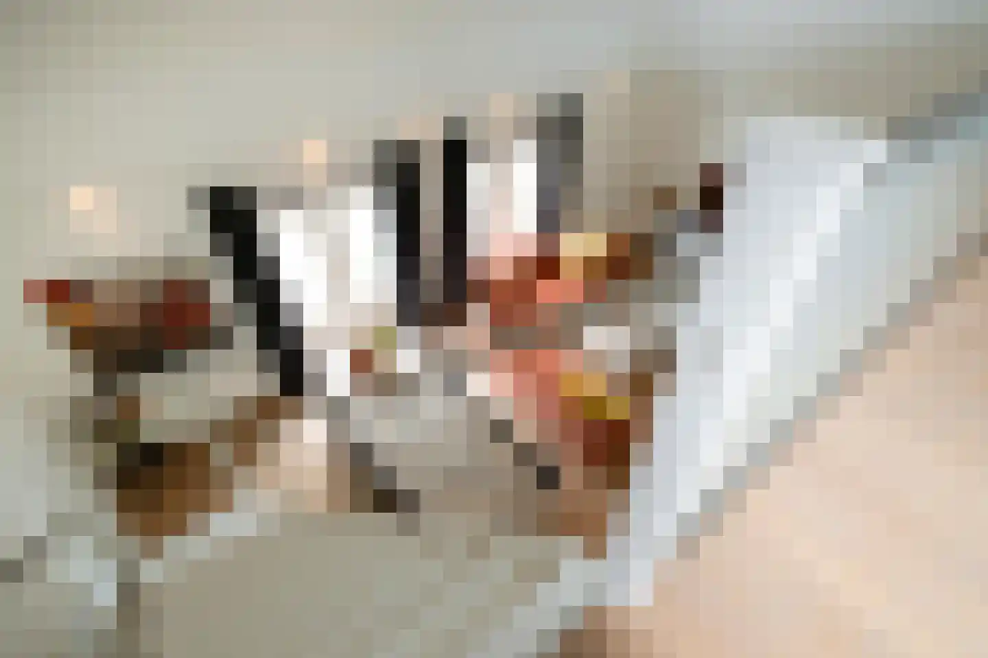 Bernard Leurinkstraat 12 Losser thumbnail 27