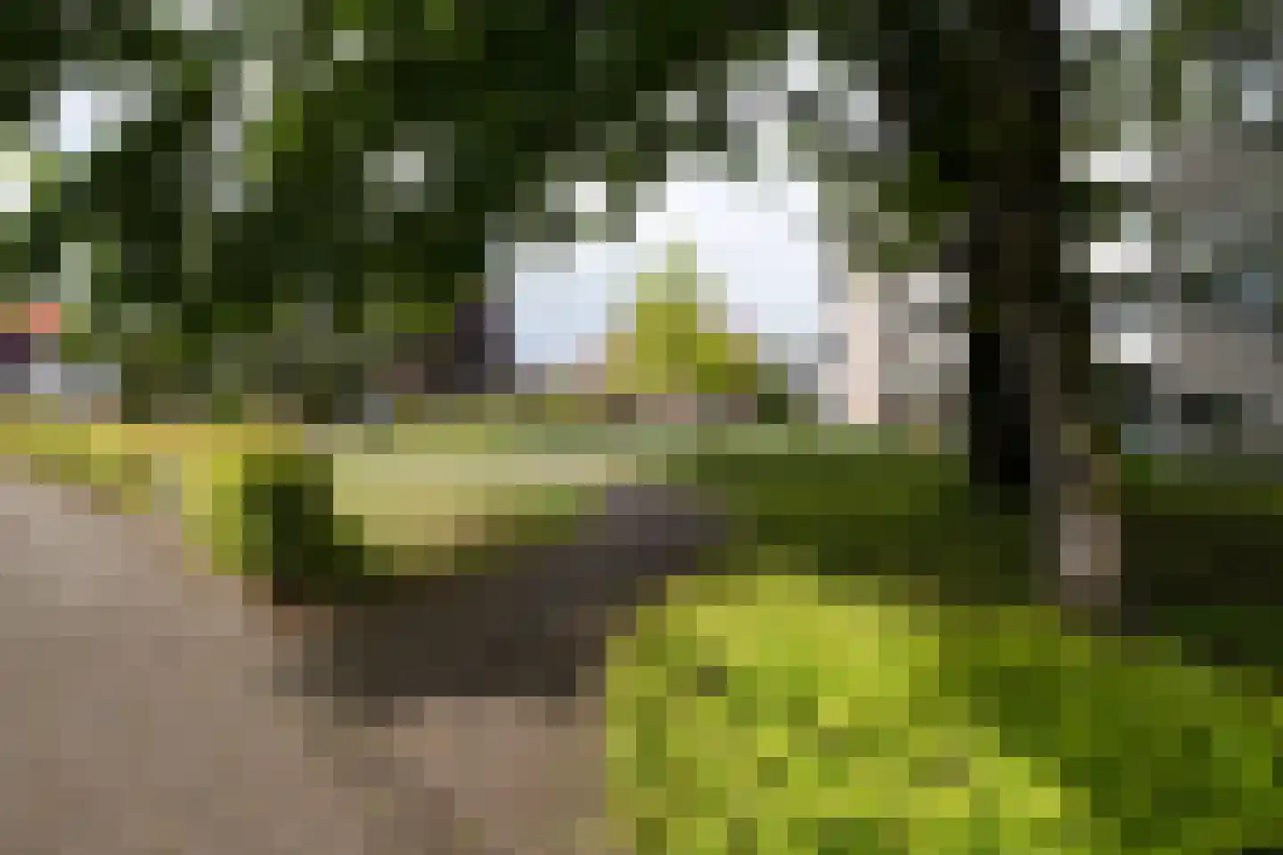 Bernard Leurinkstraat 12 Losser thumbnail 40