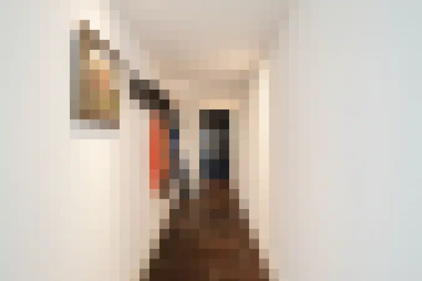 Bernard Leurinkstraat 12 Losser thumbnail 6