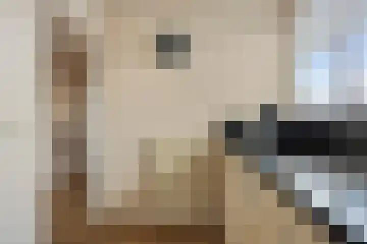 Bernard Leurinkstraat 27 Losser thumbnail 29
