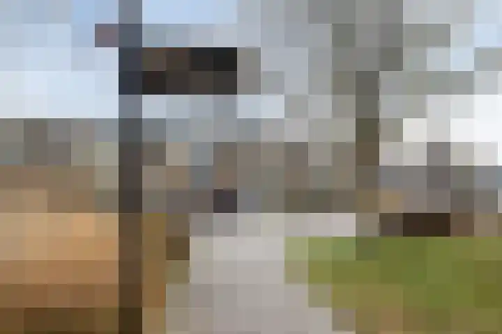 Bernard Leurinkstraat 27 Losser thumbnail 40
