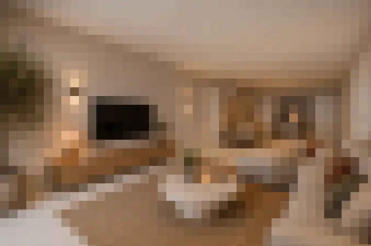 Bernard Leurinkstraat 31 Losser thumbnail 24