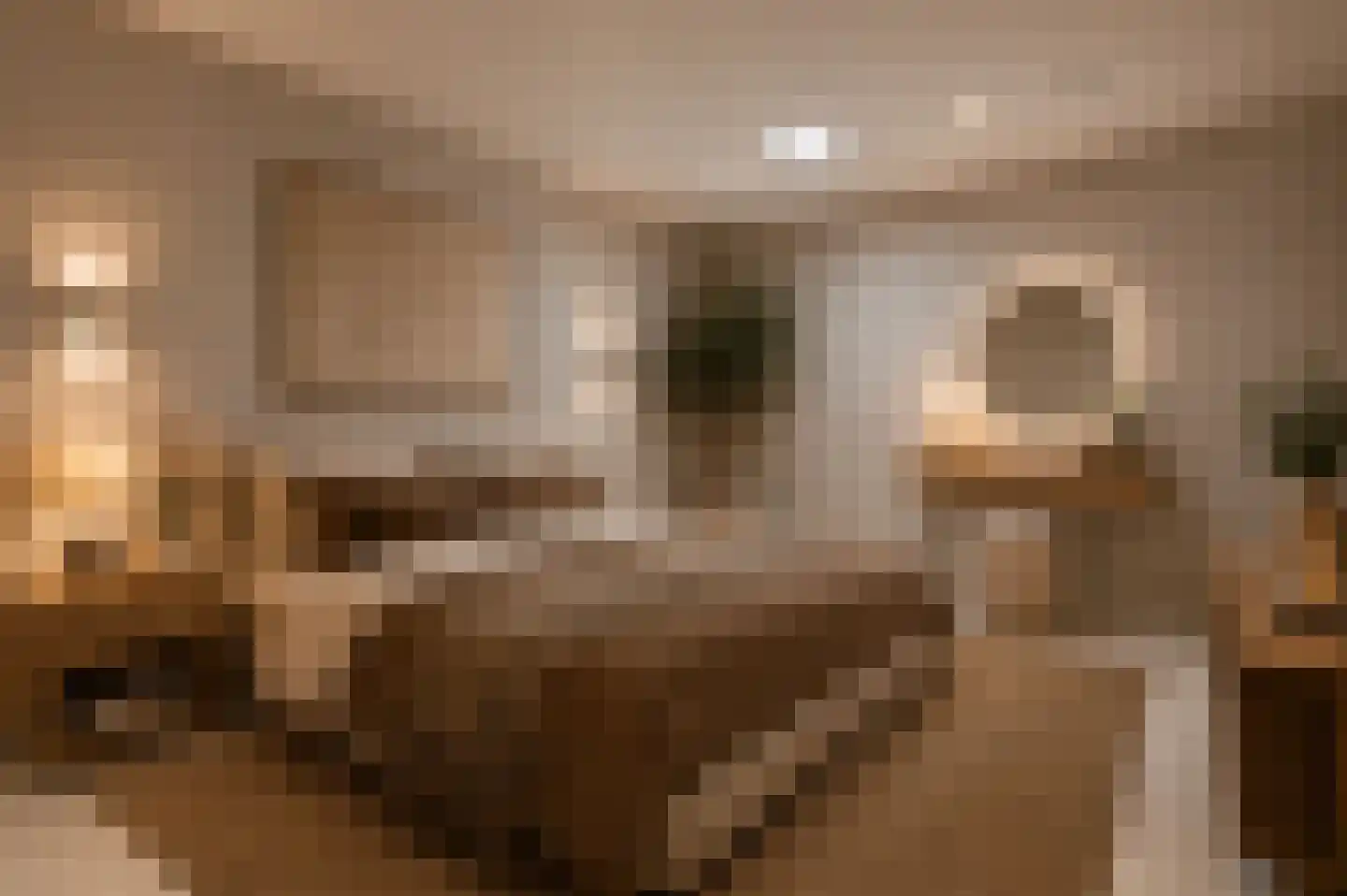 Bernard Leurinkstraat 31 Losser thumbnail 28