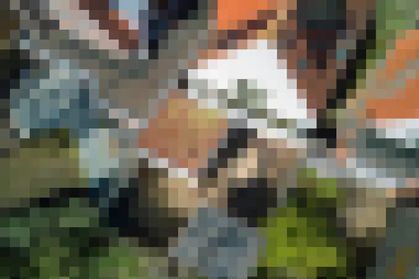 Bernard Nieuwentijtstraat 12 Purmerend thumbnail 67