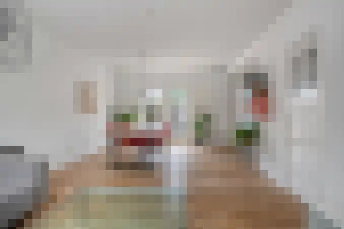 Bernard Nieuwentijtstraat 5 Purmerend thumbnail 8