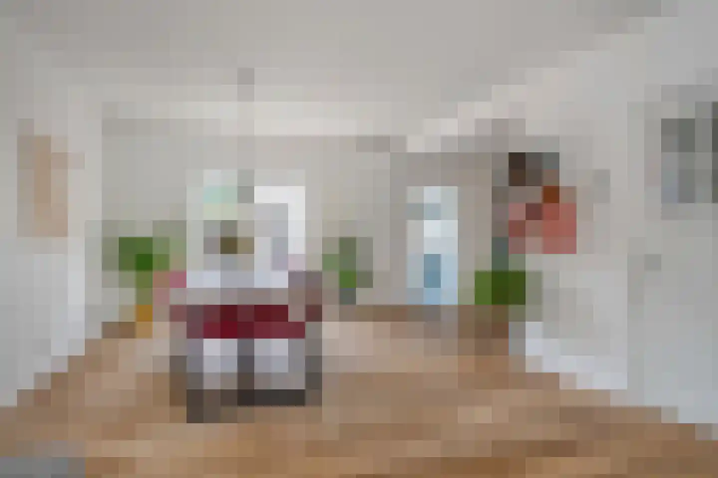 Bernard Nieuwentijtstraat 5 Purmerend thumbnail 9