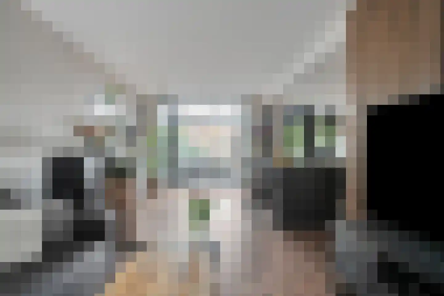 Bernard Nieuwentijtstraat 62 Purmerend thumbnail 9