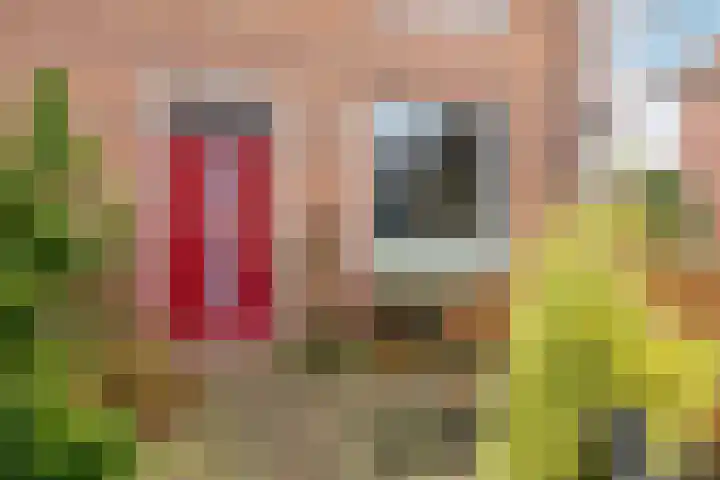 Bernard Nieuwentijtstraat 72 Purmerend thumbnail 8