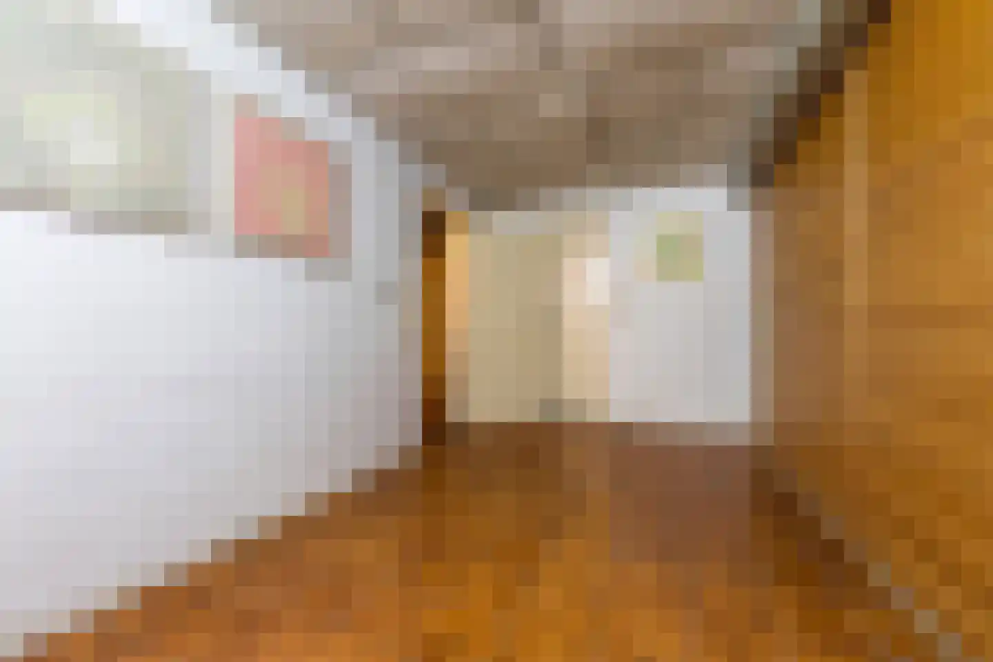 Bernard Pothaststraat 31 Kerkrade thumbnail 36