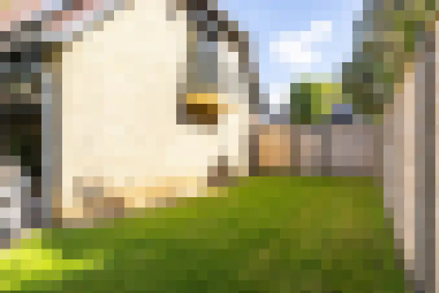 Bernard Pothaststraat 47 Kerkrade thumbnail 58