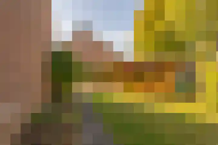 Bernard Pothaststraat 5 Kerkrade thumbnail 20