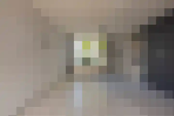 Bernard Pothaststraat 5 Kerkrade thumbnail 4
