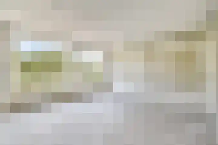 Bernard Shawsingel 140 Amsterdam thumbnail 4