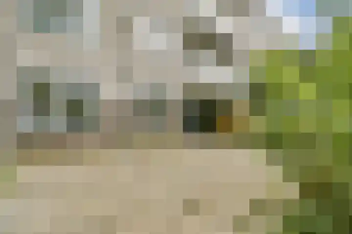 Bernard Shawsingel 142 Amsterdam thumbnail 12
