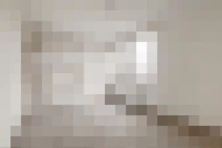 Bernard Shawsingel 238 Amsterdam thumbnail 17