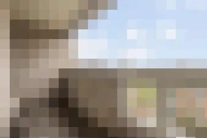 Bernard Shawsingel 238 Amsterdam thumbnail 20