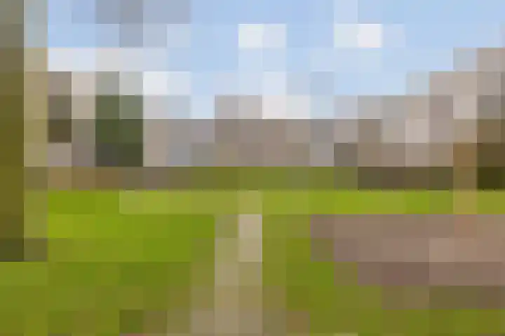 Bernard Shawsingel 238 Amsterdam thumbnail 27