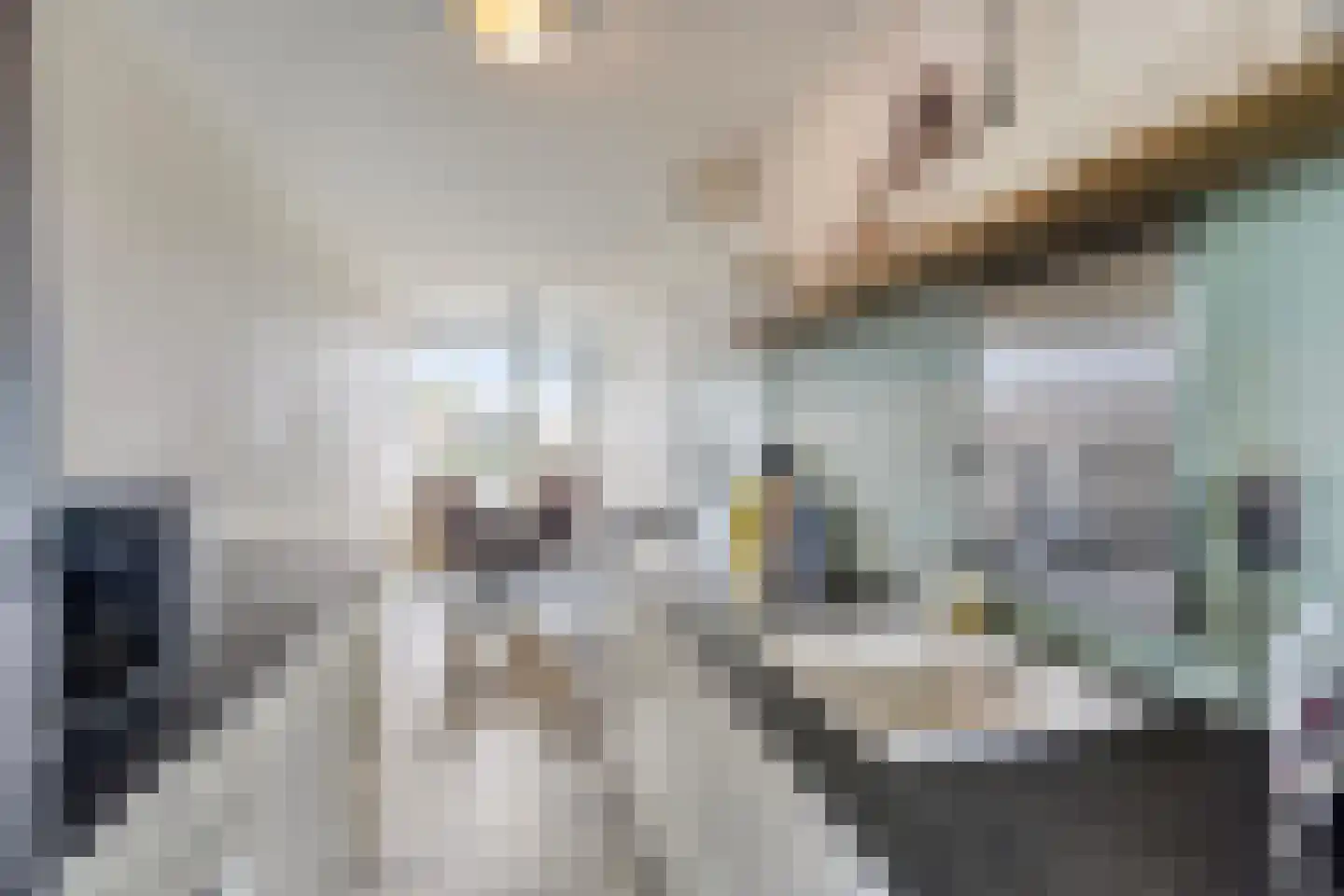 Bernard Shawsingel 268 Amsterdam thumbnail 17