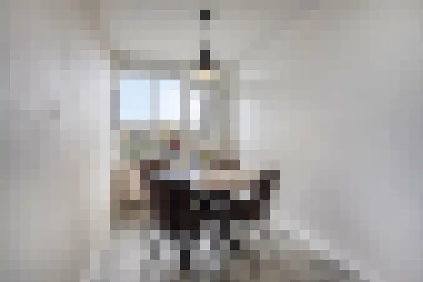 Bernard Shawsingel 268 Amsterdam thumbnail 21