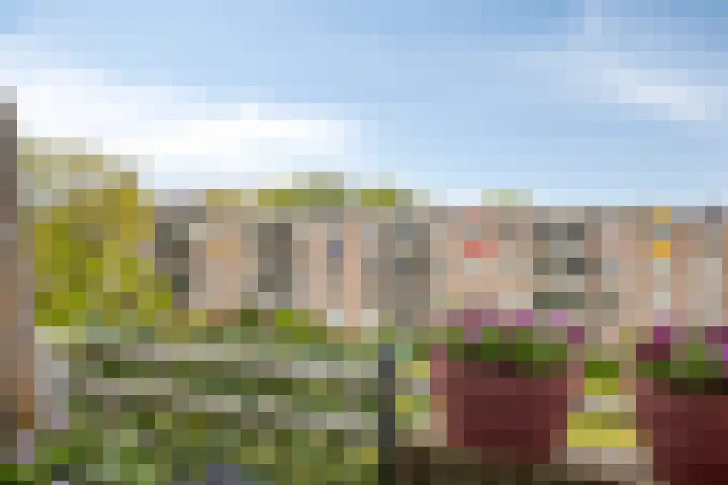 Bernard Shawsingel 268 Amsterdam thumbnail 29