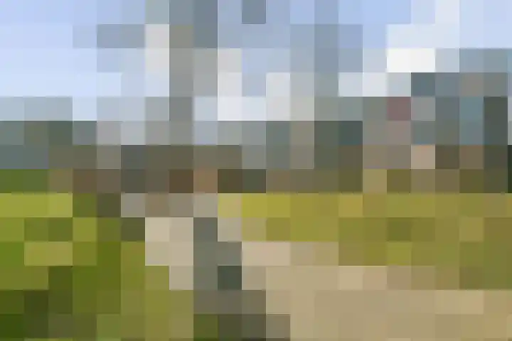 Bernard Shawsingel 372 Amsterdam thumbnail 24