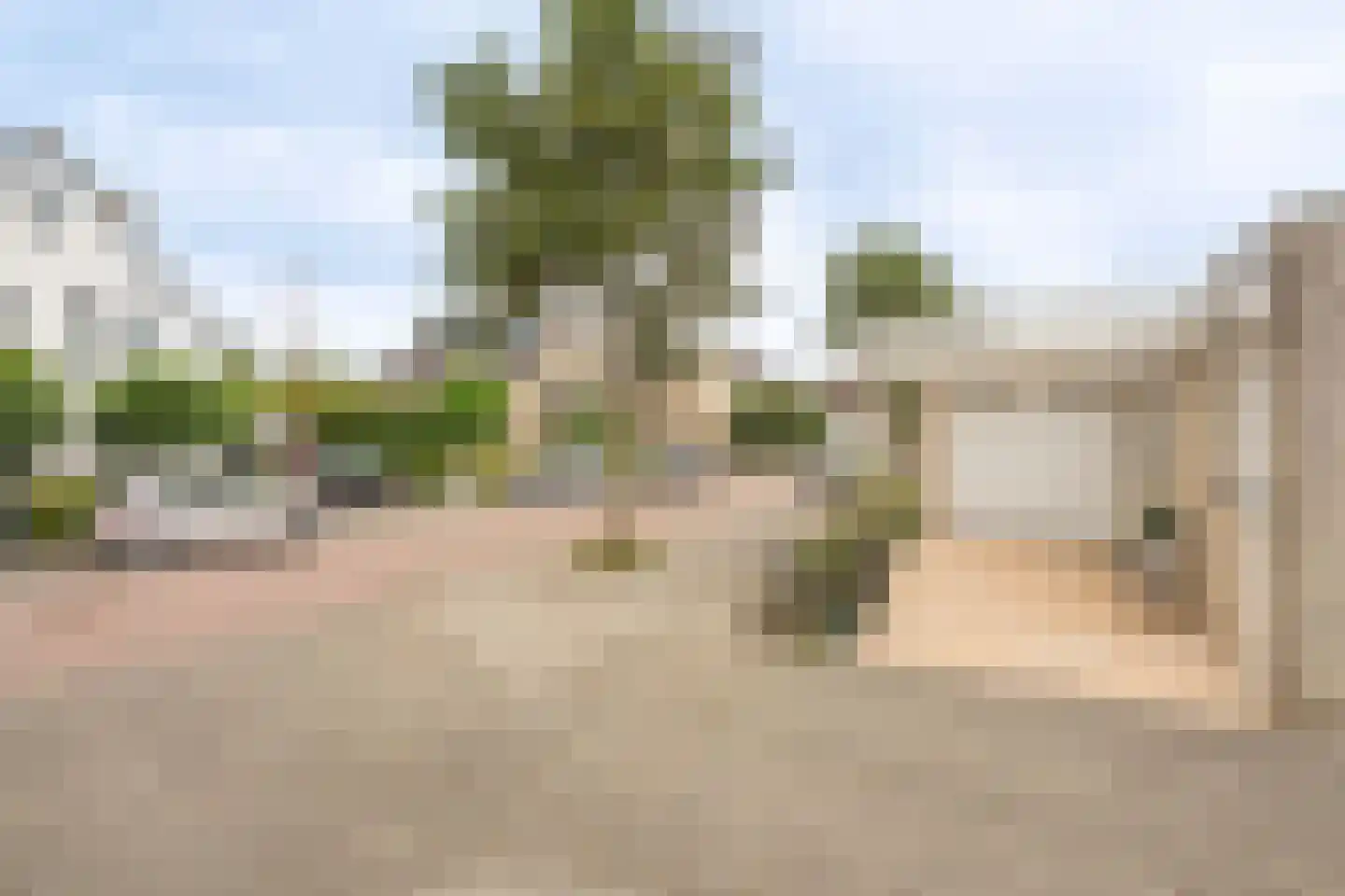 Bernard ter Haarhove 1 Nieuwegein thumbnail 6