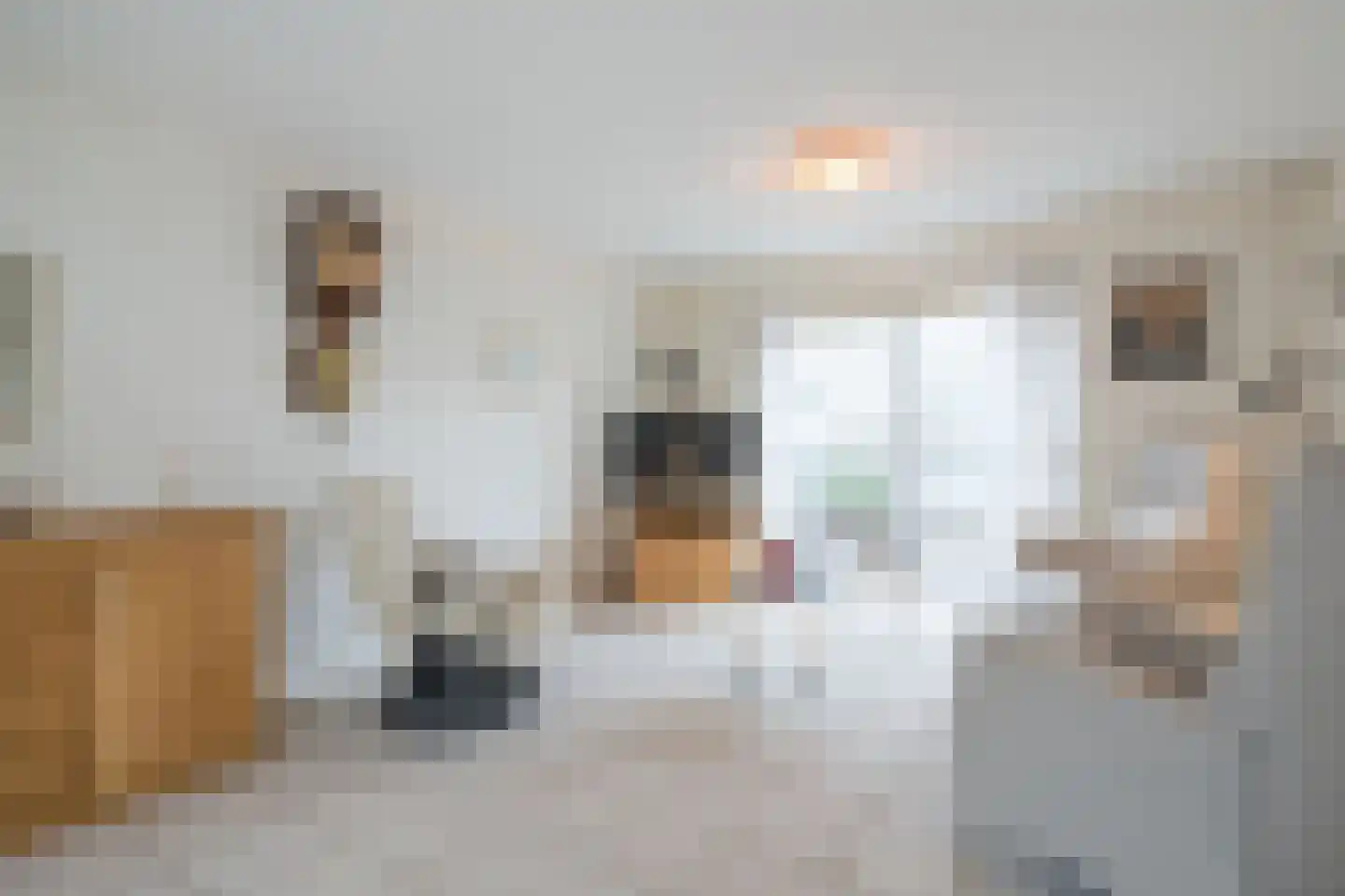 Bernard ter Haarhove 1 Nieuwegein thumbnail 7