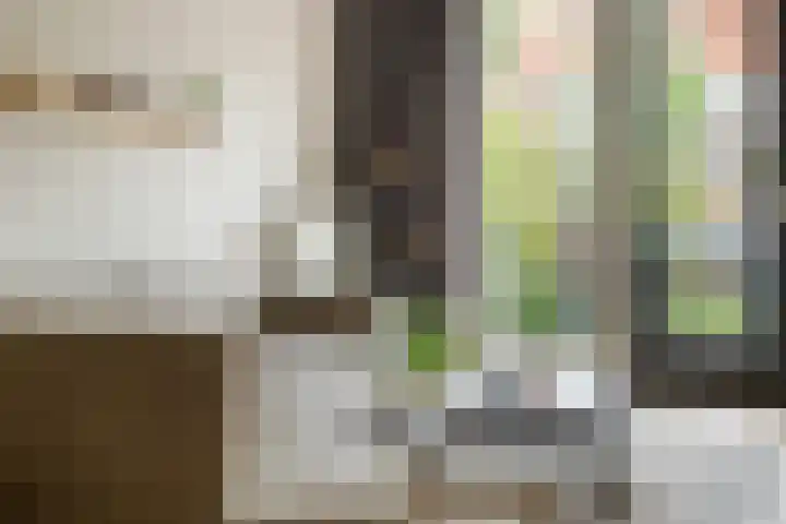 Bernard Toon Gitsstraat 11 Rotterdam thumbnail 12