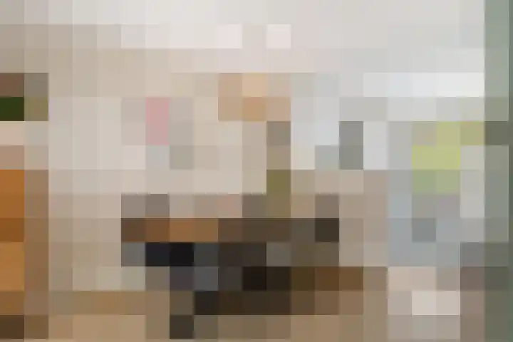 Bernard Toon Gitsstraat 11 Rotterdam thumbnail 15