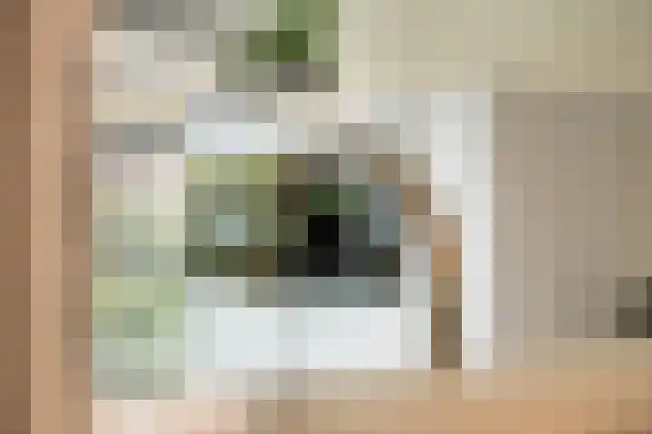 Bernard Toon Gitsstraat 11 Rotterdam thumbnail 20