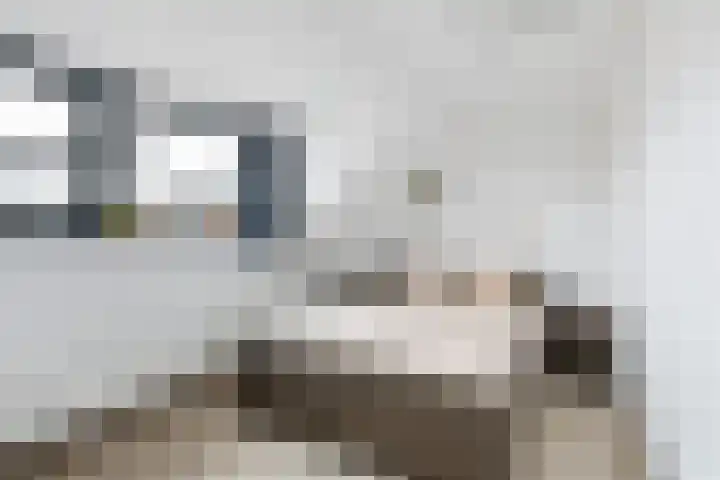 Bernard Toon Gitsstraat 11 Rotterdam thumbnail 31