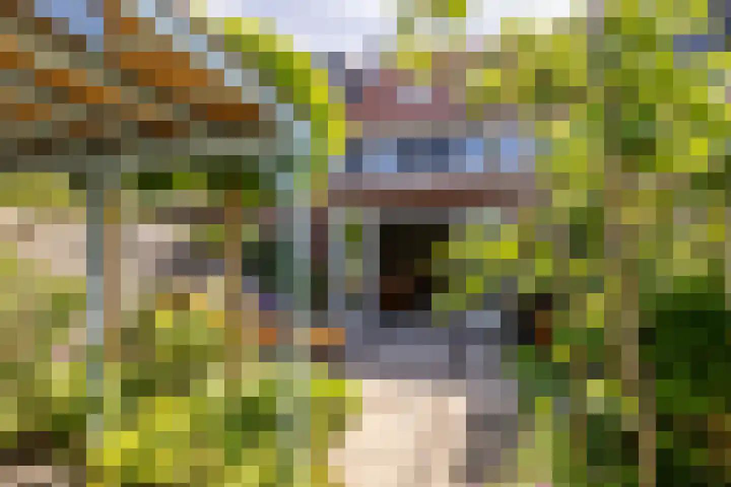 Bernard Toon Gitsstraat 21 Rotterdam thumbnail 28