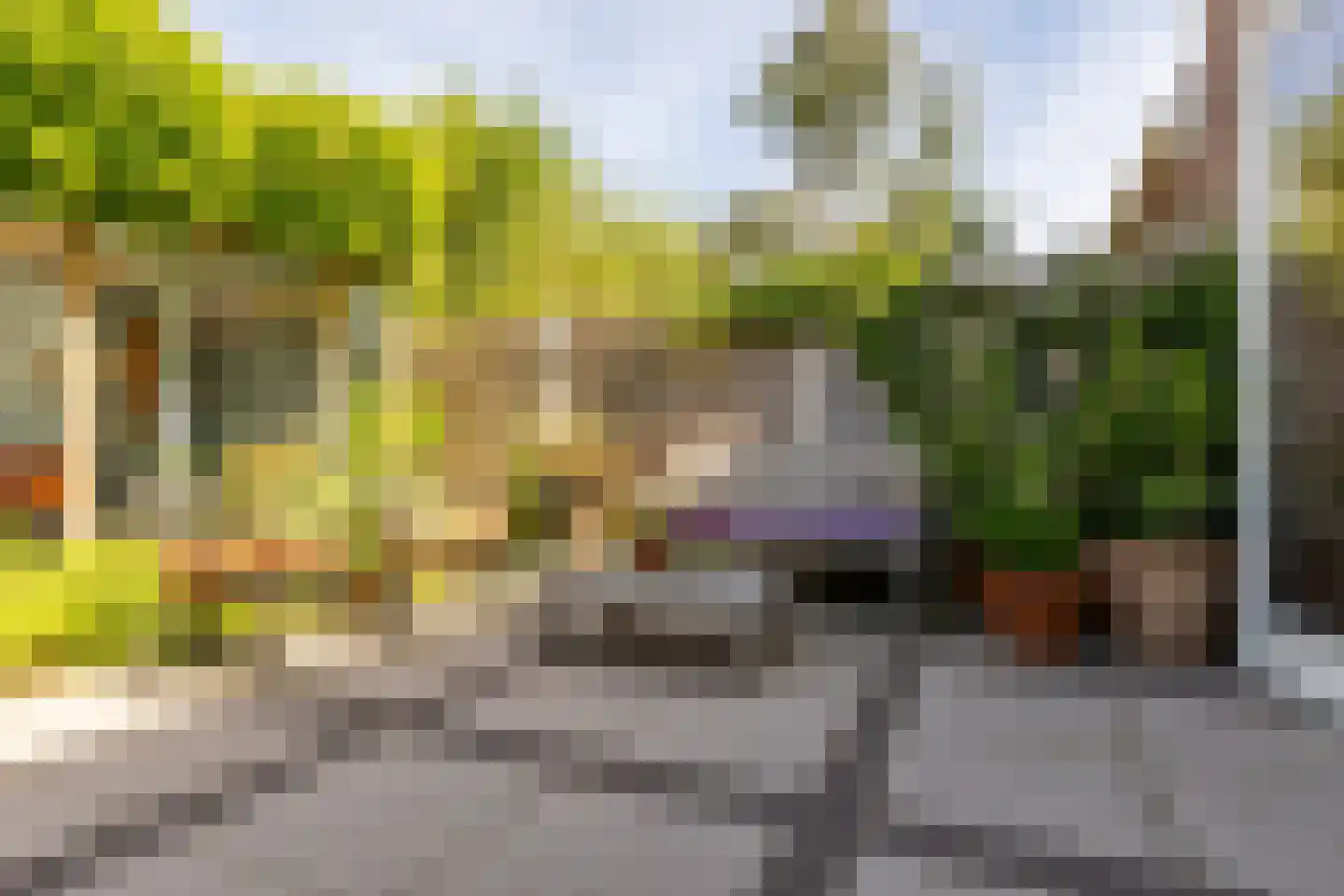 Bernard Toon Gitsstraat 21 Rotterdam thumbnail 33