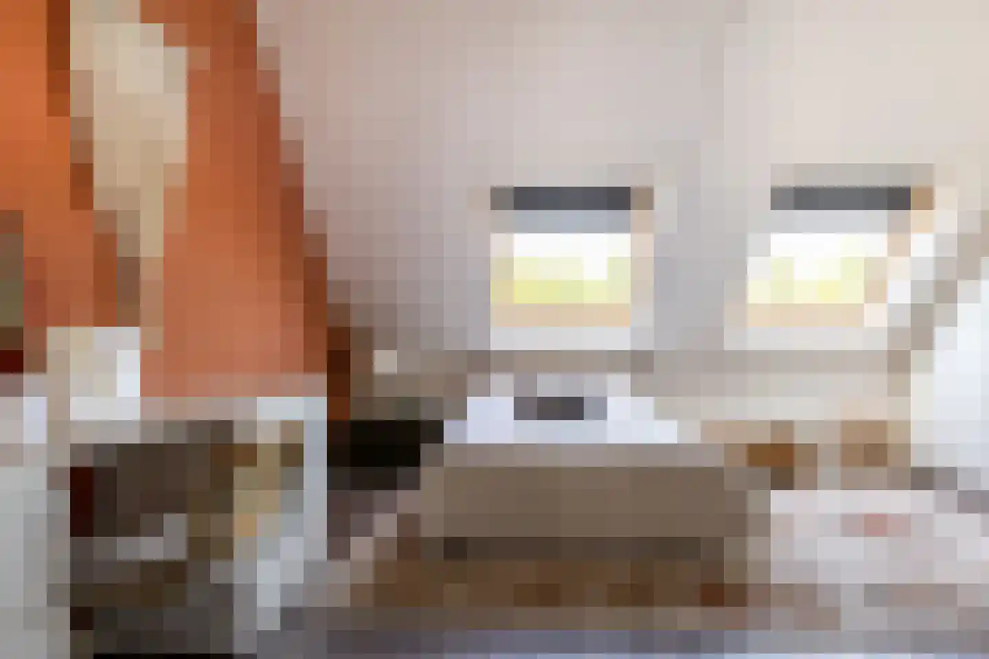 Bernard Toon Gitsstraat 21 Rotterdam thumbnail 8