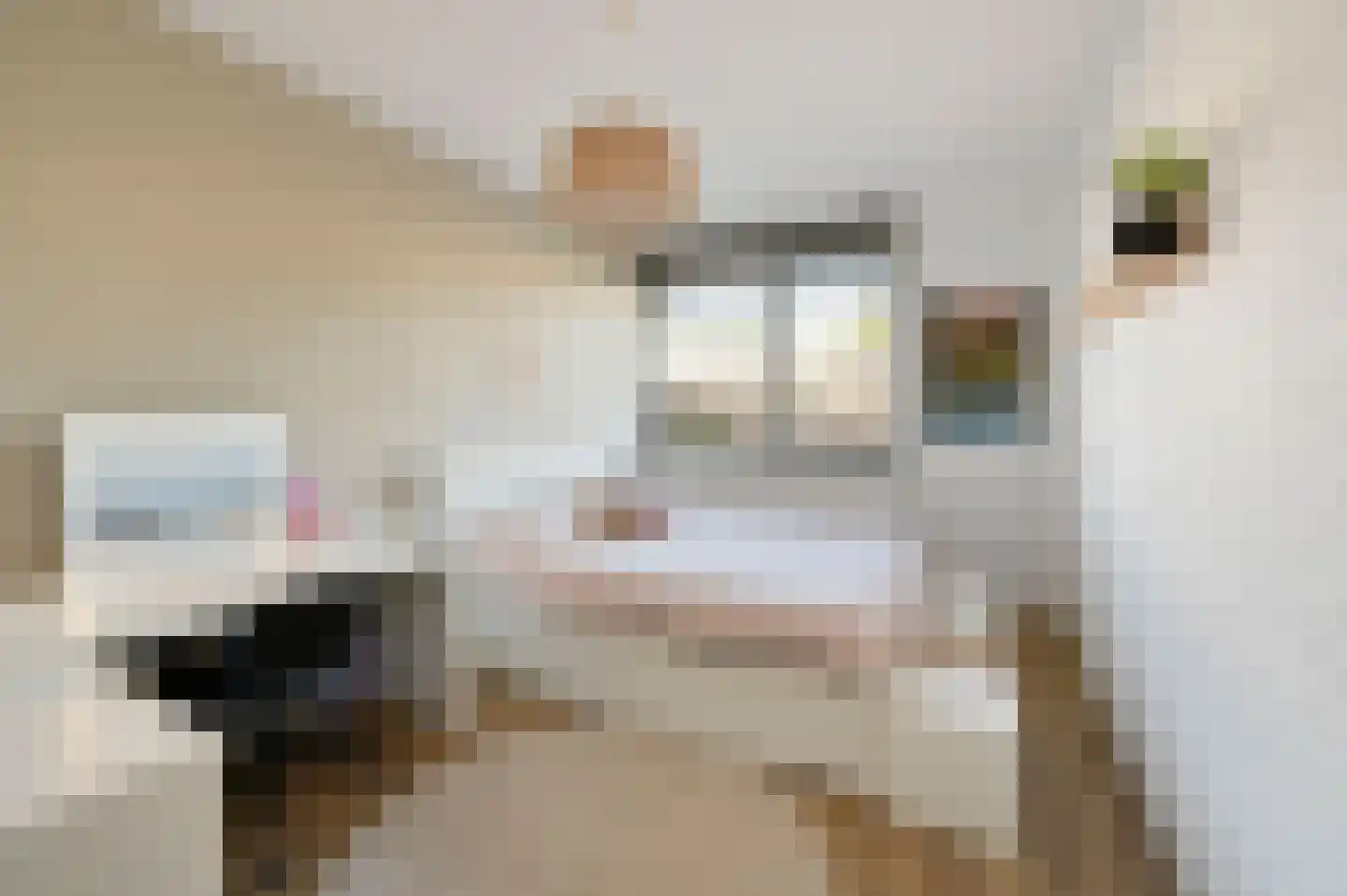 Bernard Toon Gitsstraat 5 Rotterdam thumbnail 22