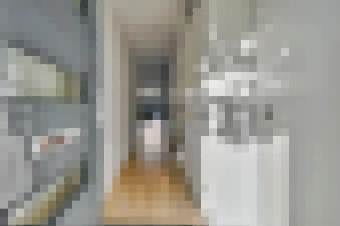 Bernard Toon Gitsstraat 5 Rotterdam thumbnail 9